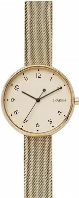 Наручные часы Skagen SKW2625