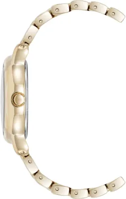 Anne Klein 5234CHGB