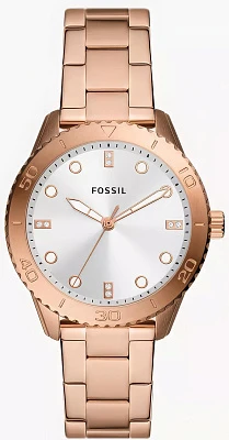Fossil Dayle BQ3886