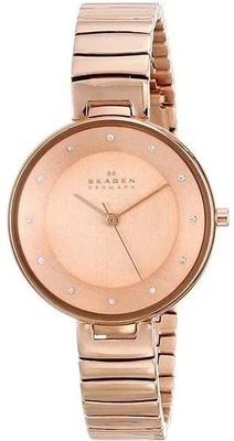 Skagen Steel SKW2227