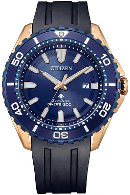 Citizen Eco Drive BN0196-01L