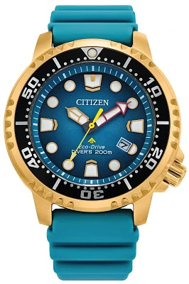 Citizen Eco Drive BN0162-02X