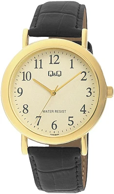 Q&Q Casual C17AJ005Y