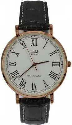 Q&Q Casual Q978J808Y