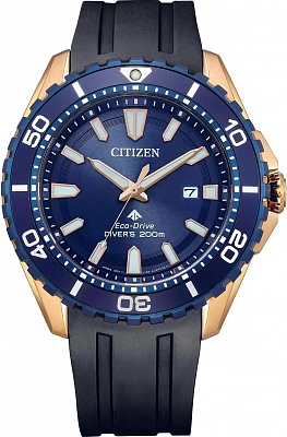 Citizen Eco Drive BN0196-01L
