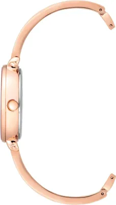 Наручные часы  Anne Klein  Box Set Anne Klein 3620BYST (фото 2)