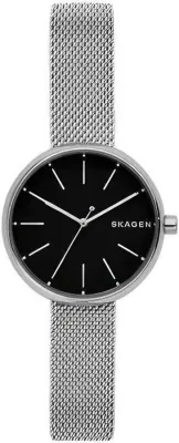 Наручные часы  Skagen  Steel Women Skagen SKW2596 (фото 1)