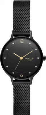 Наручные часы  Skagen  Anita Skagen SKW3112 (фото 1)