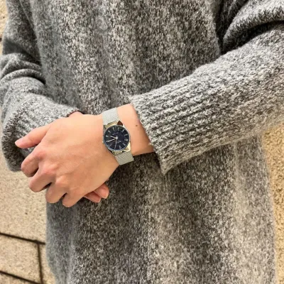 Skagen SKW3080