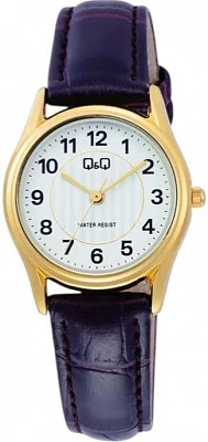 Q&Q Casual C49AJ003Y