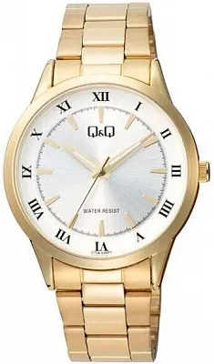 Q&Q C10AJ048Y