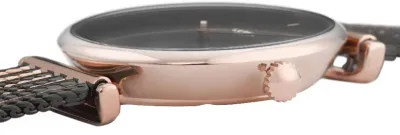 Наручные часы  Cluse  Triomphe Cluse CW0101208005 (фото 2)