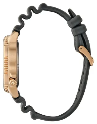 Наручные часы  Citizen  Eco Drive Citizen BN0163-00H (фото 2)