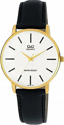 Q&Q Casual Q854J101Y