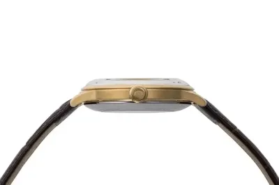 Orient RA-AP0004S