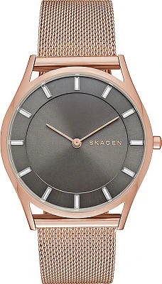 Skagen Steel Women SKW2378