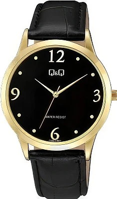 Q&Q C08AJ018Y