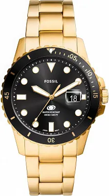 Fossil Blue FS6035