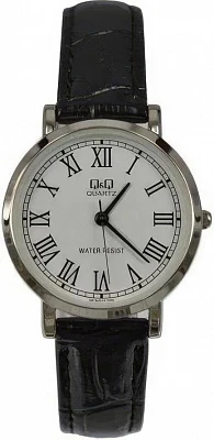 Q&Q Q979J813Y