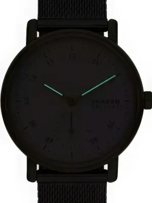 Наручные часы  Skagen  Kuppel Skagen SKW3101 (фото 3)