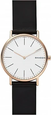 Skagen Leather SKW6430