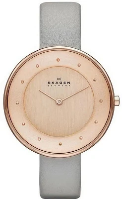 Skagen Leather SKW2139
