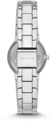 Наручные часы  Skagen  Steel Skagen SKW2180 (фото 2)