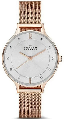 Skagen Steel SKW2151