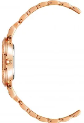 Наручные часы  Anne Klein  Box Set Anne Klein 2928BRST (фото 2)