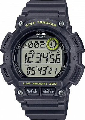 Casio WS-2100H-8A