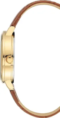 Anne Klein 3824CHHY