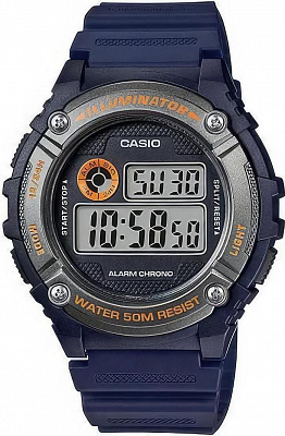 Casio Collection W-216H-2B