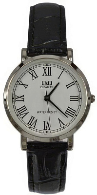 Q&Q Casual Q979J813Y