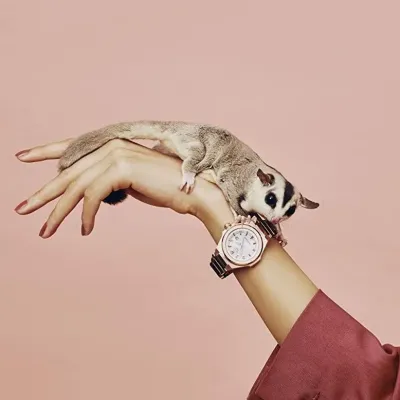Casio MSG-S500CG-1A