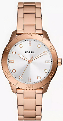 Fossil Dayle BQ3886