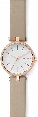 Наручные часы Skagen SKW2643