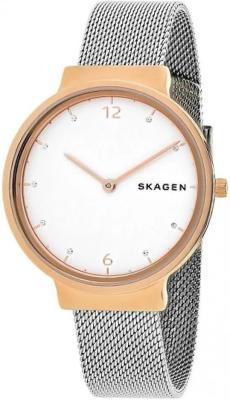 Наручные часы  Skagen  Steel Women Skagen SKW2616 (фото 1)