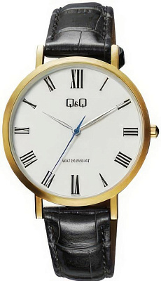 Q&Q Attractive QA20J107Y