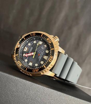 Наручные часы  Citizen  Eco Drive Citizen BN0163-00H (фото 5)