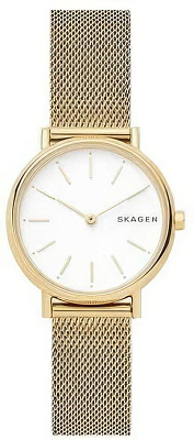 Skagen Steel Women SKW2693