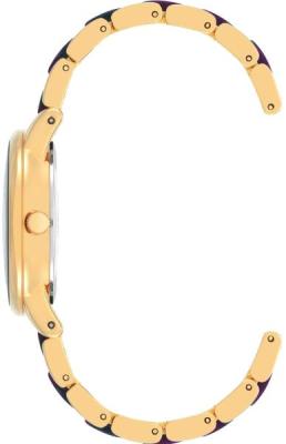 Наручные часы  Anne Klein  Plastic Anne Klein 3878NMNV (фото 2)