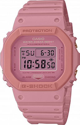 Casio DW-5610SL-4A4