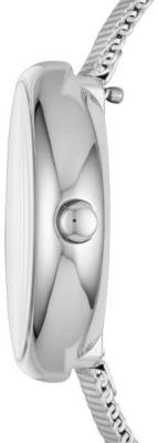 Наручные часы  Skagen  Steel Women Skagen SKW2596 (фото 2)