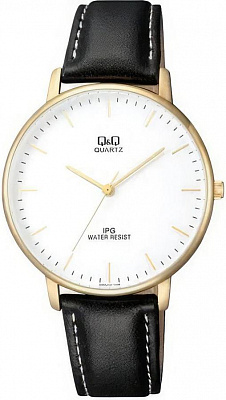 Q&Q Casual QZ00J101Y