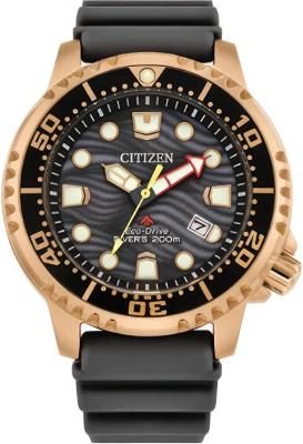 Наручные часы  Citizen  Eco Drive Citizen BN0163-00H (фото 1)