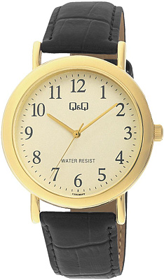 Q&Q Casual C17AJ005Y