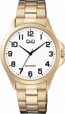 Q&Q Casual C36AJ016Y