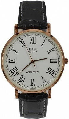 Q&Q Casual Q978J808Y