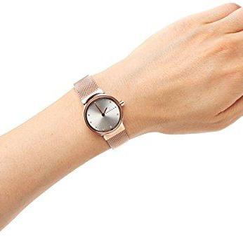 Наручные часы  Skagen  Steel Women Skagen SKW2665 (фото 2)