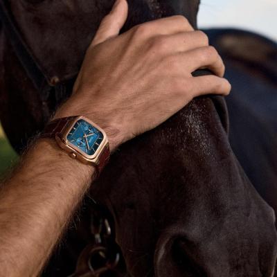 Наручные часы  Cluse  Quadrus Cluse CW26204 (фото 3)